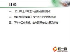 2015年城区银保部总结述职报告19页.ppt