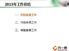 2015年度中支监察部总结述职报告19页.ppt