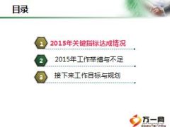 中支个险营销部2015年度述职报告16页.ppt