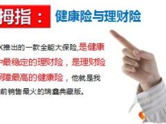 保险精英分享五指讲国寿大瑞鑫14页.ppt
