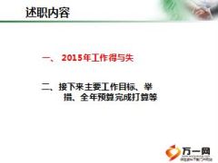 团体保险2015年总结述职报告16页.ppt