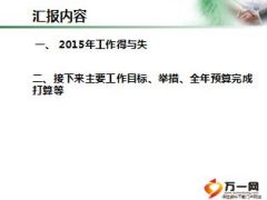 个险2015年营销服务部总结述职报告10页.ppt