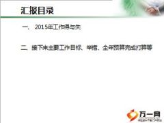 2015年团险述职报告总结11页.ppt