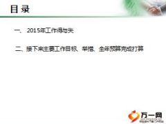 个险2015年度述职报告工作得失12页.ppt