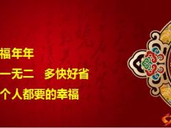 国寿鑫福年年产品特点目标市场解析36页.ppt