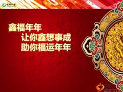 国寿鑫福年年产品亮点职场训练19页.ppt