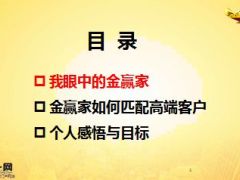 太平人寿金赢家大额保单高端版销售理念22页.ppt