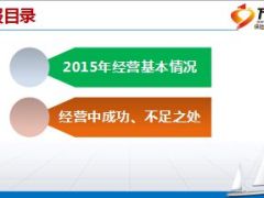 县级公司团险2015年工作总结9页.ppt