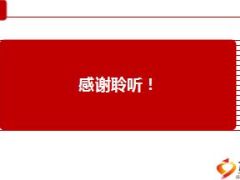 个险渠道2015工作总结及2016工作部署17页.ppt