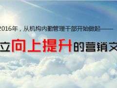 营销文化2015年个险年经营分析报告64页.ppt
