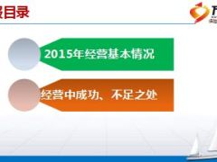 支公司2015年团险工作总结11页.ppt