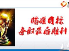 2015年支公司经营状况总结8页.ppt