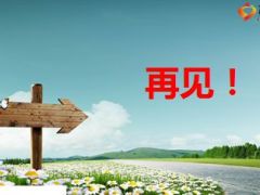 下岗潮离职潮保险凭什么变金饭碗10页.ppt