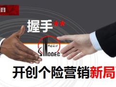 个险2015年分公司年终工作汇报56页.ppt
