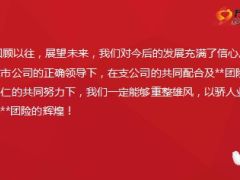 市分公司2015年团险工作总结2016年规划11页.ppt