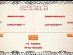 国寿鑫福年年组合计划利益亮点介绍21页.ppt