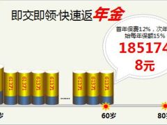 国寿鑫福年年目标市场与投保细则25页.ppt