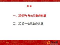 分公司2015年经营分析报告总结18页.ppt
