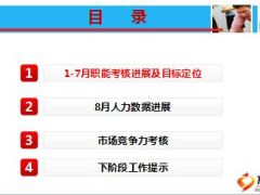 中支个险阶段经营总结视频交流会35页.ppt