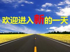 欢迎进入新的一天早会流程17页.ppt