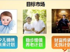 2016国寿开门红主销产品鑫福年年组合计划介绍69页.ppt