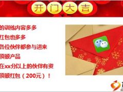 国寿鑫福年年销售训练总结观念话术工具目标13页.ppt