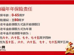国寿鑫福年年产品组合计划介绍20页.ppt