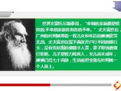 儿智障女年幼母年迈丈夫过世家庭重担妻子一人扛11页.ppt