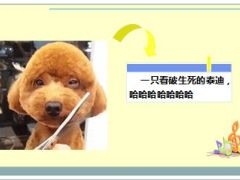 每日快乐早会15年11月25日使用15页.ppt