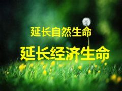 祈福会理财峰会主讲泰康鑫享人生30页.ppt