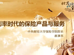 视频郝寅苏演讲精华低利率时代保险如何挑大梁.rar