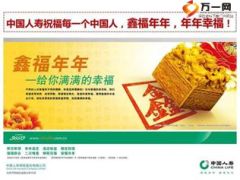 国寿鑫福年年引发国内各大媒体竞相报道10页.ppt
