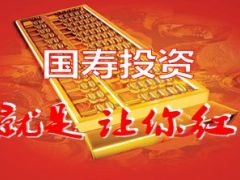 国寿鑫福年年产品介绍利益演示23页.ppt