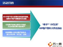 2015至2016VIP客户跨年大拜访活动宣导国寿版29页.ppt