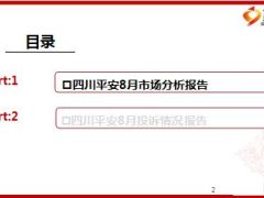 2015年8月四川市场分析报告46页.ppt