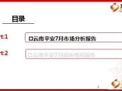 2015年7月云南市场分析报告42页.ppt