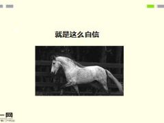 每日快乐早会15年12月1日使用15页.ppt
