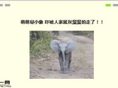 每日快乐早会15年12月2日使用.ppt