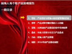 个险产品策略定位思考发现盘点方向规划前海版41页.ppt