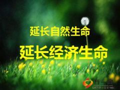 中端产说会泰康版鑫享人生28页.ppt