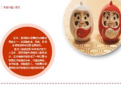 日韩保险营销员情况介绍20页.ppt