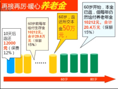 讲解配套视频资本寒冬下稳健理财国寿鑫福年年产品解析.rar