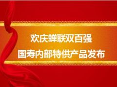 国寿内部特供辉煌伴一生两全保险介绍及方案22页.ppt