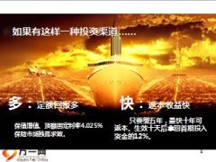 国寿鑫福年年高端产说会课件43页.ppt