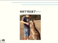 每日快乐早会15年12月7日使用15页.ppt