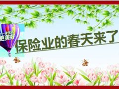 国华金双喜产品宣导33页.ppt
