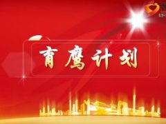 分公司组织发展支持方案宣导17页.ppt