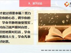 激励专题成功必须放下的十件事12页.ppt