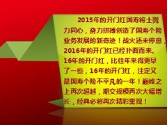 2016年开门红国寿鑫福年年产品推动68页.ppt