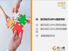 优秀机构分享2016开门红首日钻石百分百铸就经营新平台23页.ppt